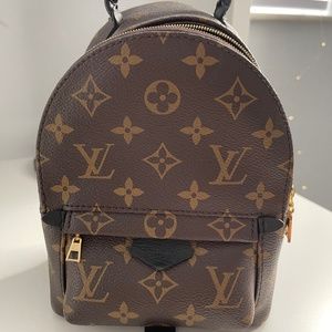 Louis Vuitton Mini Palm Springs Leather Monogram Backpack